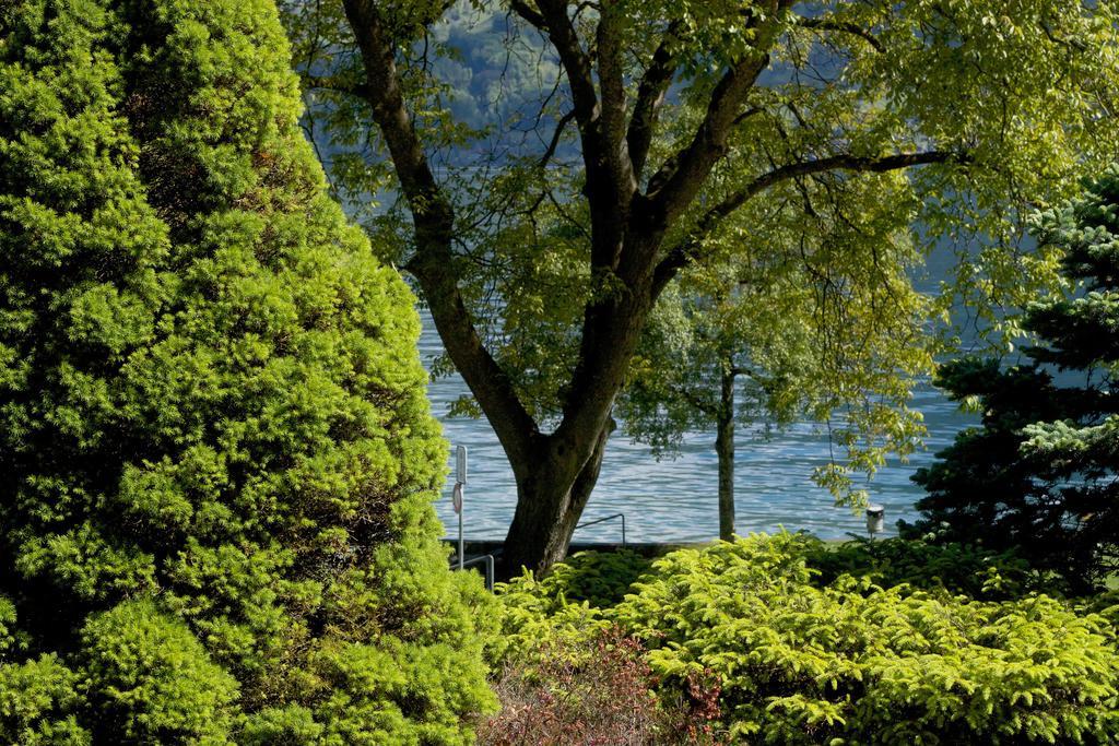Seehotel Boutique Jaegerhof-Hubertus Faulensee Esterno foto